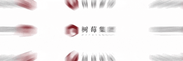 树莓控股携手四川文旅企业，共筑沐川数字化文旅新未来